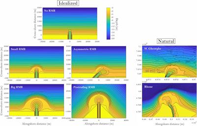 River Jets Versus Wave-Driven Longshore Currents at River Mouths